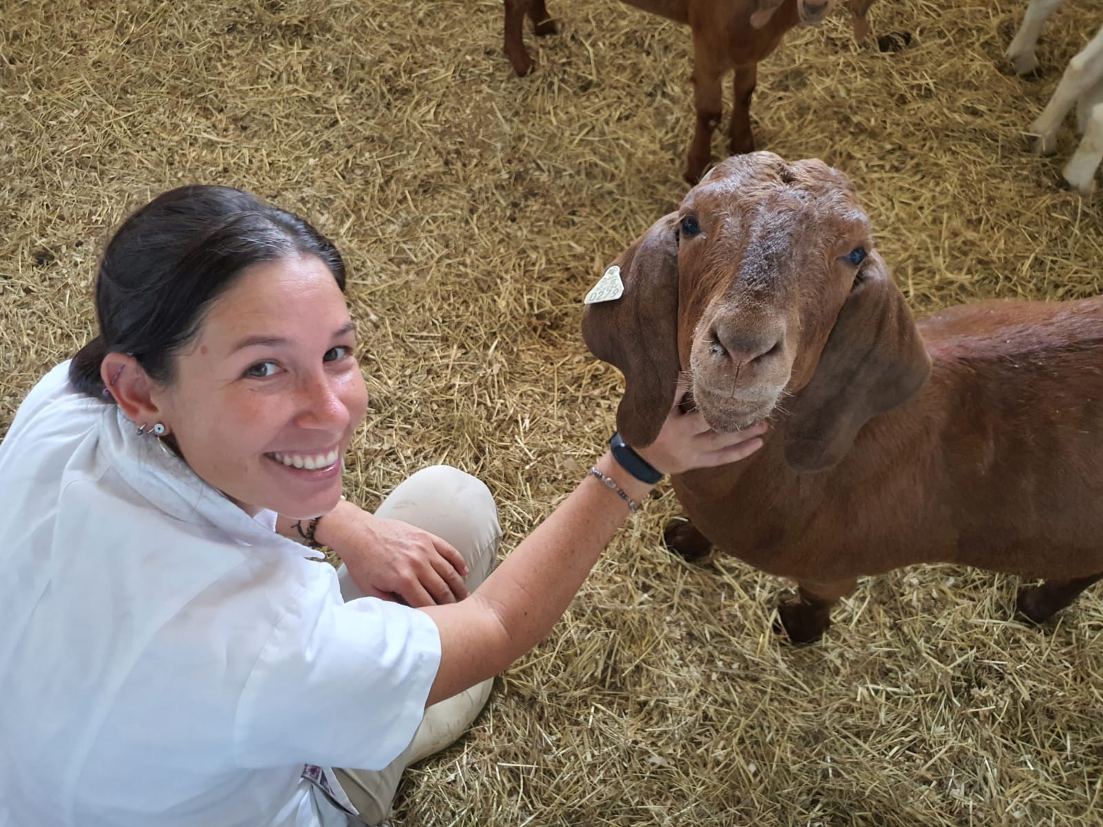 A woman strokes a goat